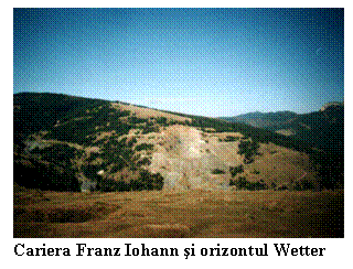 Text Box:  
Cariera Franz Iohann şi orizontul Wetter
